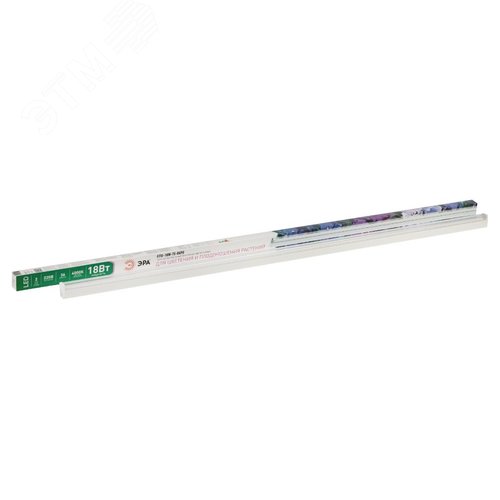 Миниатюра 7