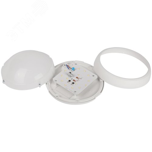 Миниатюра 8