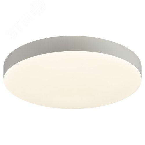 Миниатюра 6