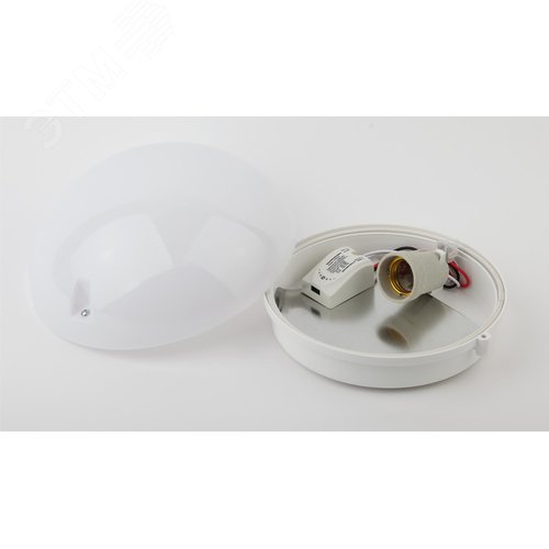 Миниатюра 2