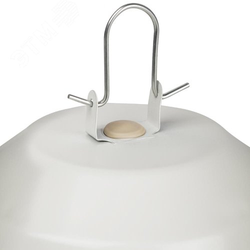 Миниатюра 12