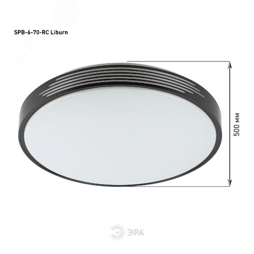 Миниатюра 13