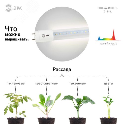 Миниатюра 12