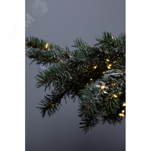 Миниатюра 9