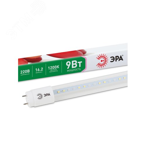 Миниатюра 7