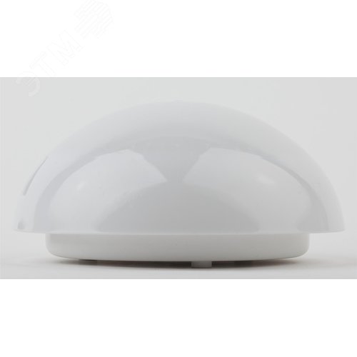 Миниатюра 5