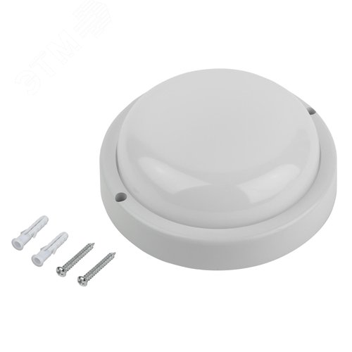 Миниатюра 5