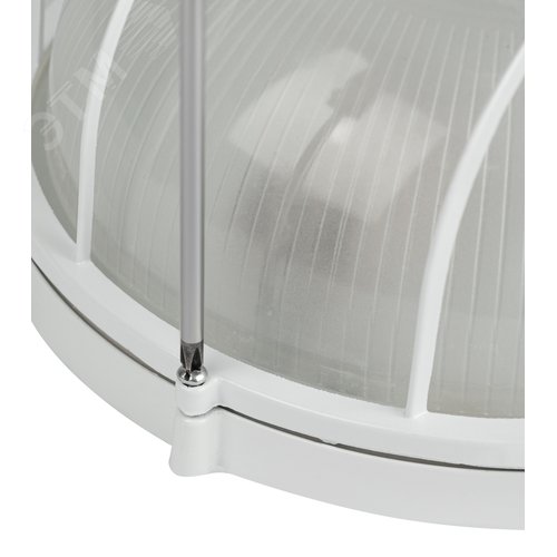 Миниатюра 7