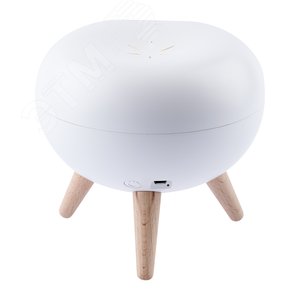 Миниатюра 8