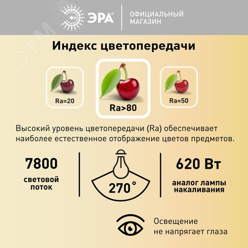 Миниатюра 11