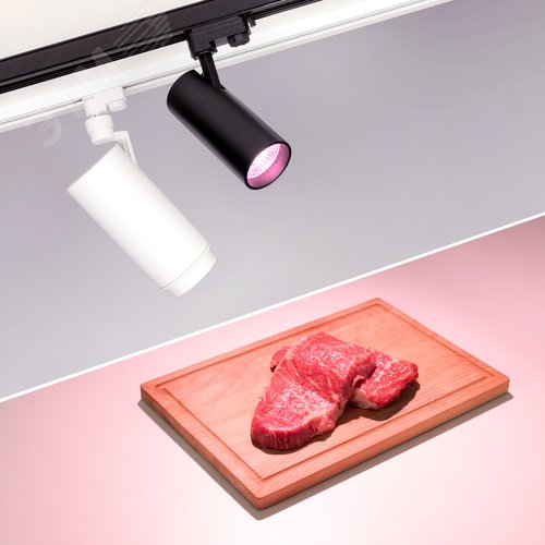 Миниатюра 16