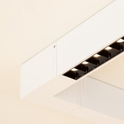 Миниатюра 10