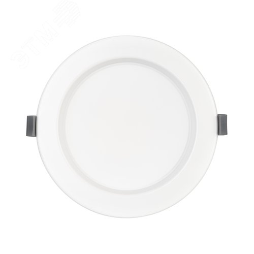 Миниатюра 4