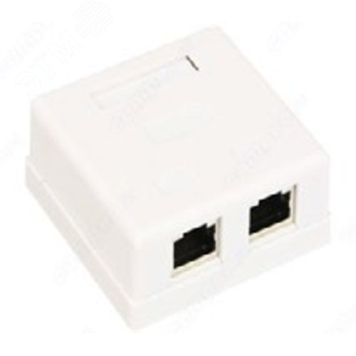 Розетка компьютерная накладная RJ-45 (8Р8С) кат.5e двойная (WS-RJ45-8P8C-5e-2P) (состав ОКЛ)