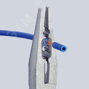 Миниатюра 7