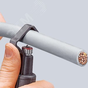 Миниатюра 5