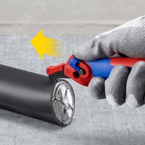 Миниатюра 3
