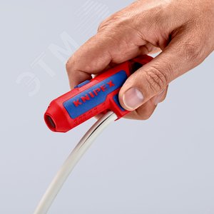 Миниатюра 6