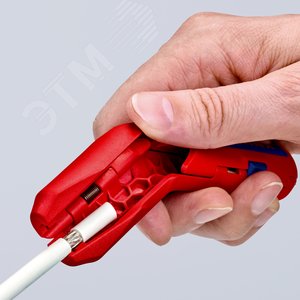 Миниатюра 7