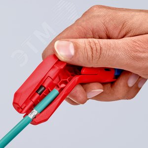 Миниатюра 8