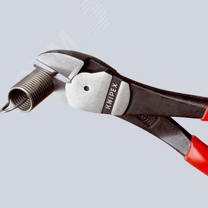 Миниатюра 6