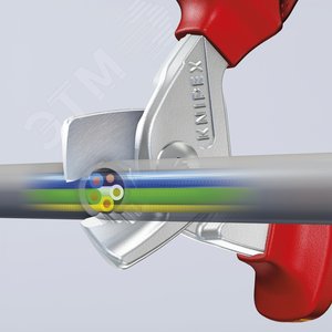 Миниатюра 8