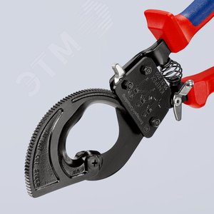 Миниатюра 9