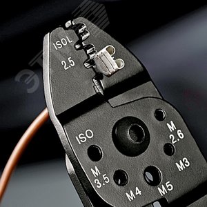 Миниатюра 8
