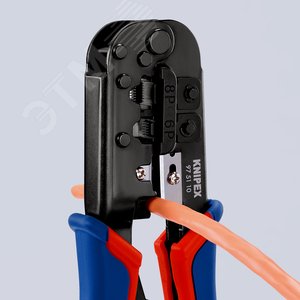 Миниатюра 7