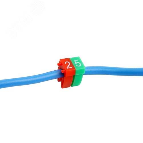 Миниатюра 4