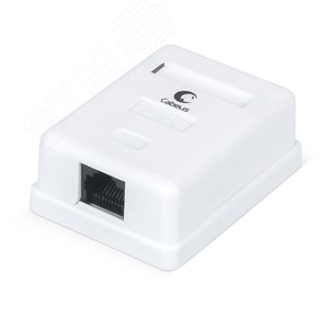 Розетка компьютерная RJ-45(8P8C), категория 6, одинарная, внешняя, Dual IDC