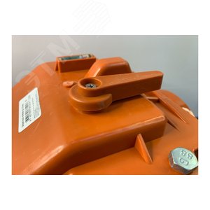 Миниатюра 4