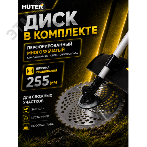 Миниатюра 4