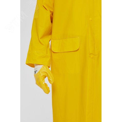 Миниатюра 4