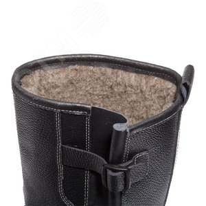 Миниатюра 6