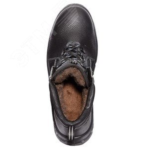Миниатюра 5