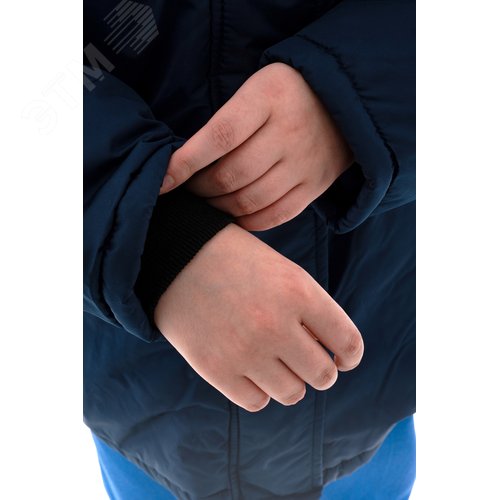 Миниатюра 6