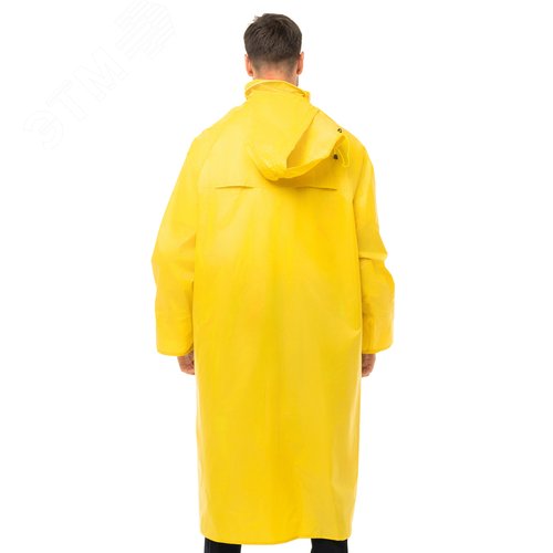 Миниатюра 7
