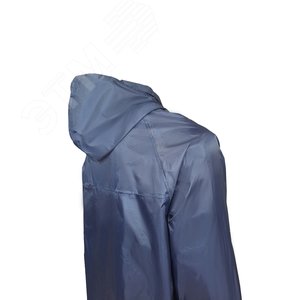 Миниатюра 9