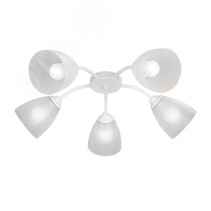 Люстра 5xE27 максимальная мощность лампы 40 Вт плафон ПП