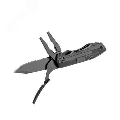Миниатюра 6