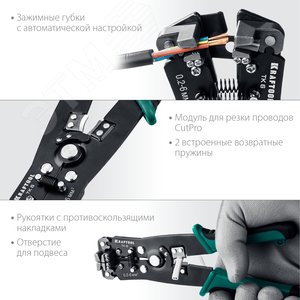 Миниатюра 4