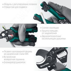 Миниатюра 4