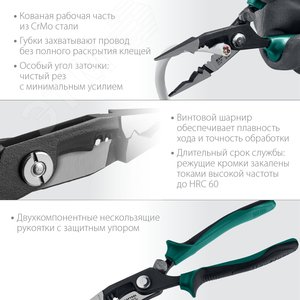 Миниатюра 4