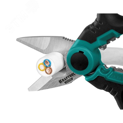 Миниатюра 8