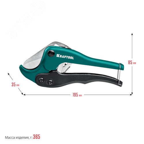 Миниатюра 13