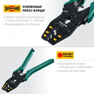 Миниатюра 3