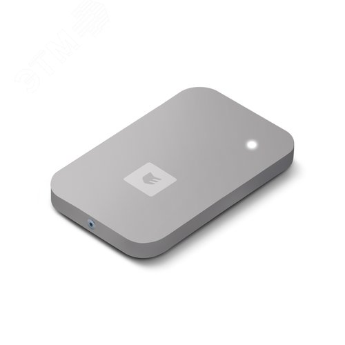 Считыватель ESMART Reader BLE серии STONE (Silver Gray) (ER1701)