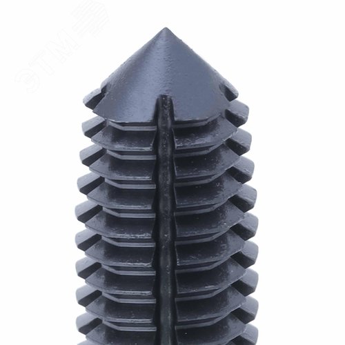 Миниатюра 5