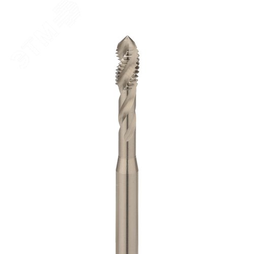 Миниатюра 2
